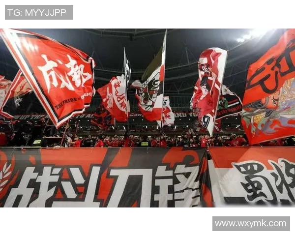 成都足球队崛起之路:力量与潜力的深度分析与展望