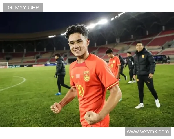 新疆籍足球明星年薪排行榜揭晓谁是收入最高的球员