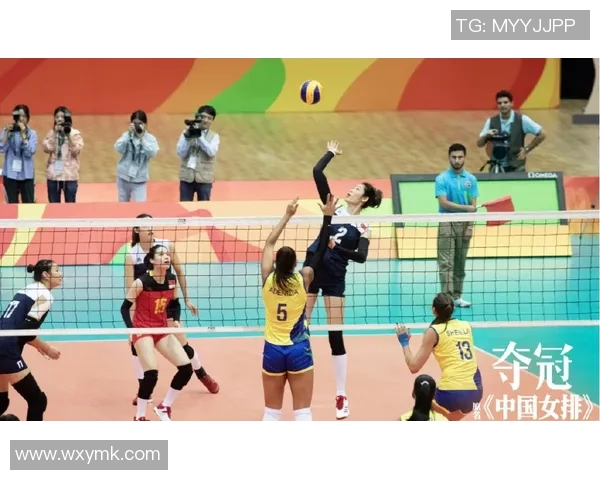 羽毛球女将陈娜的奋斗与梦想：一段不平凡的运动生涯对话录