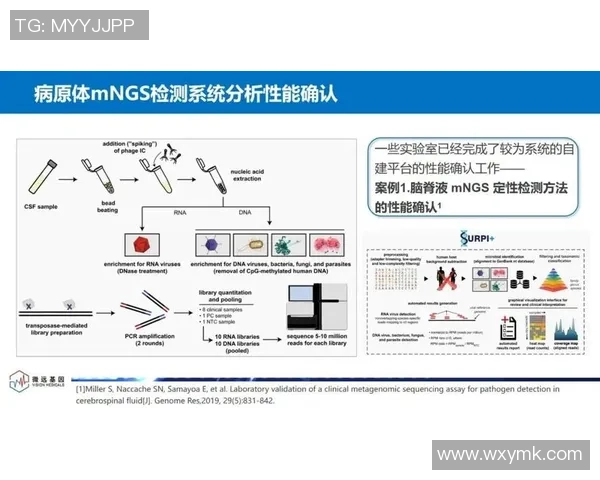 杭州极限运动队技术创新与挑战探索的深度分析与展望