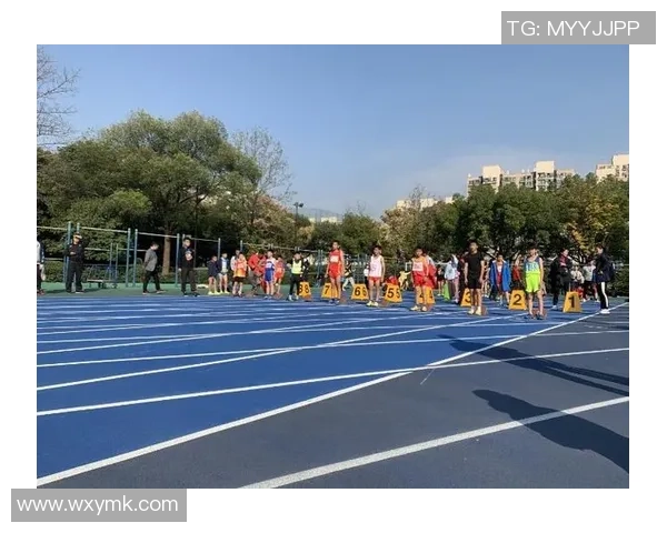 旋律足球：在音符与球场之间谱写激情与梦想的交响乐